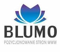 Logo Blumo