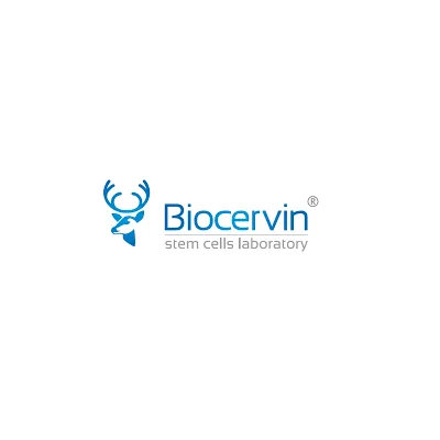 pozycjonowanie producenta kosmetyków