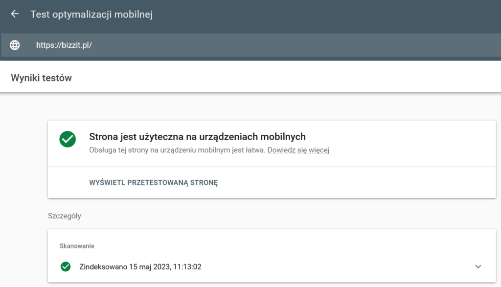 Internetowy test optymalizacji mobilnej strony bizzit.pl