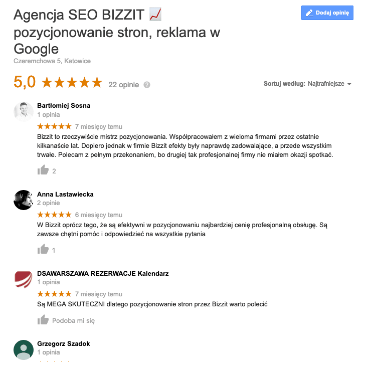 opinie agencja seo bizzit